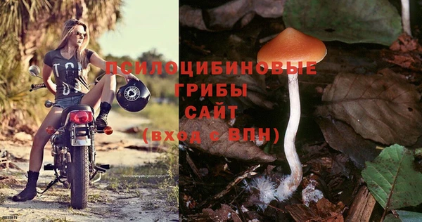 ECSTASY Алзамай
