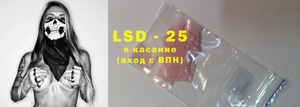 ECSTASY Алзамай